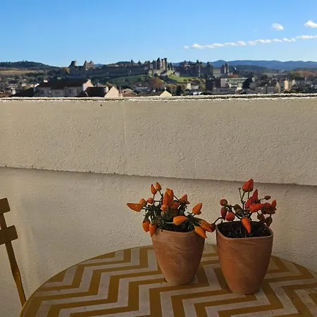 L'oeil Sur La Cite Appartement Carcassonne