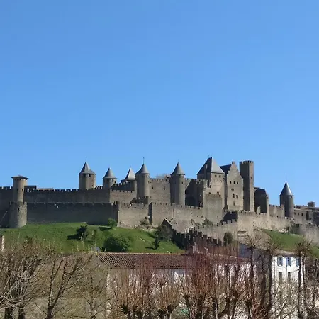 L'oeil Sur La Cite Carcassonne